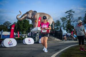 BIB: 
                            <button type="button" onclick="openModal(26541906)" class="btn btn-primary btn-sm float-right btn-popup" data-toggle="modal" data-target=".modal-high-quality">
                        <i class="fas fa-shopping-cart"></i> Add to Cart
                    </button>
                                            <button type="button" onclick="isThisMe(26541906, true)" class="btn btn-success btn-sm float-right btn-popup btn-isme hidden" data-toggle="tooltip" data-placement="bottom" title="นี่คือรูปของคุณใช่ไหม คลิกที่นี่เพื่อเอาเข้าอัลบั้ม">
                        <i class="fas fa-plus"></i> Add to album
                    </button>
                    <button type="button" onclick="isThisMe(26541906, false)" class="btn btn-warning btn-sm float-right btn-popup btn-isnotme hidden">
                        <i class="fas fa-ban"></i> Remove from album
                    </button>